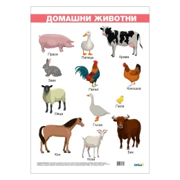 Снимка на Office 1 Ученическо табло ''Домашни животни'', ламинирано, 50 x 70 cm, модел 1