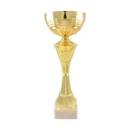 Снимка на Спортна купа C25-03, 30 cm, златна