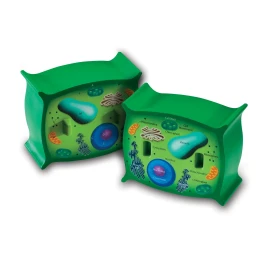 Снимка на Learning Resources Модел на растителна клетка, напречно сечение