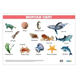 Снимка на Office 1 Ученическо табло ''Морски свят'', ламинирано, 50 x 70 cm, модел 2