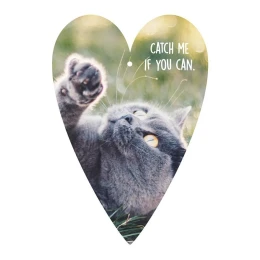 Снимка на Gespaensterwald Картичка-таг, котка