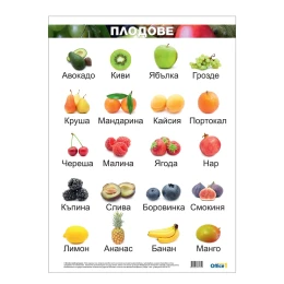 Снимка на Office 1 Ученическо табло ''Плодове'', 50 x 70 cm, ламиниран картон