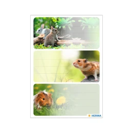 Снимка на Herma Самозалепващи се етикети Гризачи, ученически, 9 броя