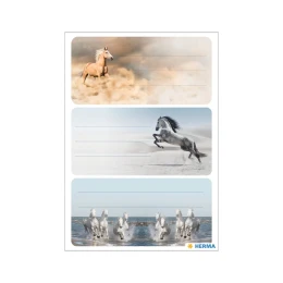 Снимка на Herma Самозалепващи се етикети Коне, ученически, 9 броя