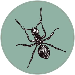 Снимка на STEM Стикер, Природни науки - Биология, комплект F6, 50 cm, стикер 2