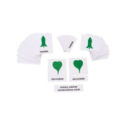 Снимка на Nowa Szkola Ботанически карти Монтесори, с наименования