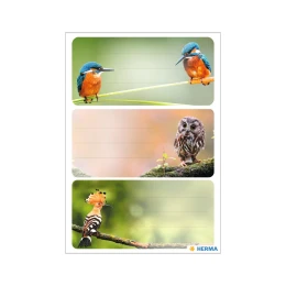 Снимка на Herma Самозалепващи се етикети Птици, ученически, 9 броя