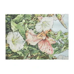 Снимка на Paperblanks Папка за документи Bindweed Fairy