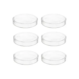 Снимка на Gelsonlab Блюдо ''Петри'', стъклено, 75 mm