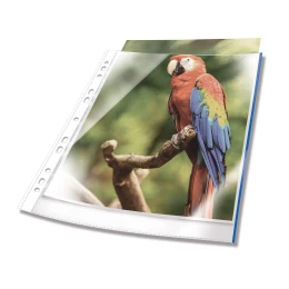 Снимка на Durable Джоб за документи Premium, със синя лента, 10 броя