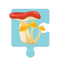 Снимка на STEM Стикер, Природни науки - Биология, комплект F3, 50 cm, стикер 1