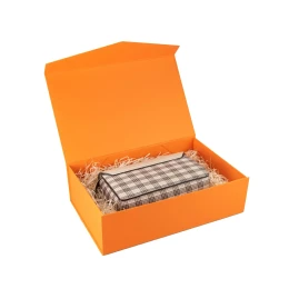 Снимка на Office 1 Кутия Matt, с магнитно затваряне, сгъваема, 23 х 15 х 10 cm, оранжева