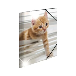 Снимка на Herma Папка Animals, картонена, с ластик, A4, PP, котки