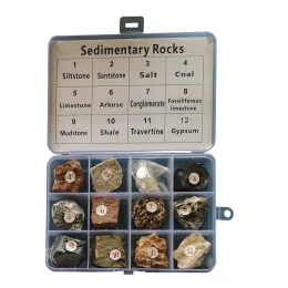 Снимка на Gelsonlab Колекция седиментни скали