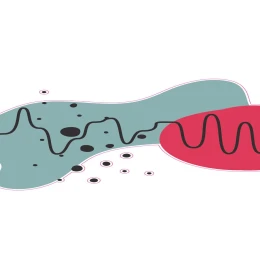 Снимка на STEM Стикер, Зала за дигитални изкуства, комплект B1, 50 cm, стикер 8