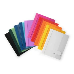 Снимка на Durable Папка, A4+, PP, с джоб за визитка, зелена