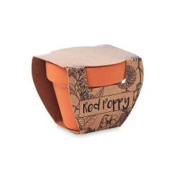 Снимка на More Than Gifts Цвете Мак, в саксия