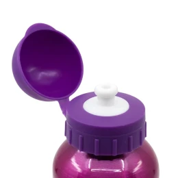 Снимка на Stor Бутилка Пес Патрул - Скай, алуминиева, 400 ml