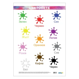 Снимка на Office 1 Ученическо табло ''Цветове'', ламинирано, 50 x 70 cm